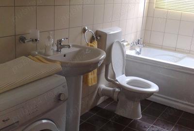Apartament cu 2 camere decomandat în Micălaca - 5