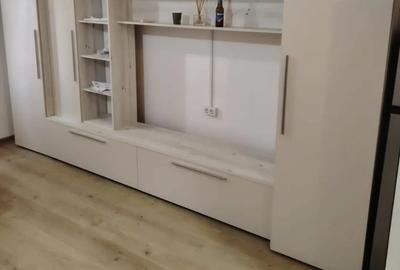 Garsoniera de inchiriat Chitila - 4