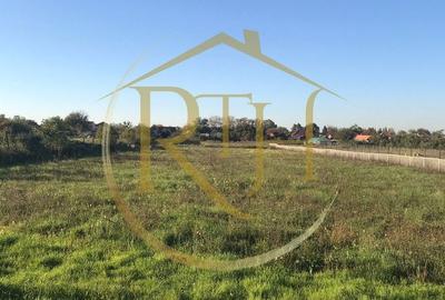 Teren Construcții intravilan de 7880 mp, în Freidorf - 6