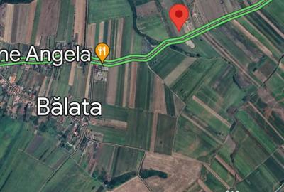 Teren de 16500 mp, în Bârsău