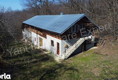 Casă cu 3 camere cu Teren 9815 Mp în Valea Iașului - 11