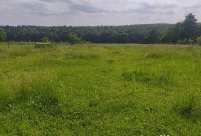 Casă cu 4 camere cu Teren 2600 Mp în Horodnic - 8