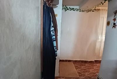 Valea Borcutului, casa 23 ari teren - 9