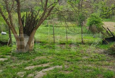 Casă cu 2 camere cu Teren 1000 Mp în Seleuș (Zagăr) - 15