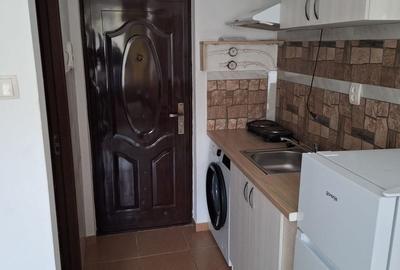 Buziasului | 1 Camera | Recent renovata | Disponibil imediat - 8