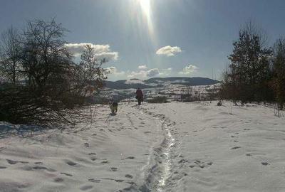 Spațiu comercial, în Nădăștia - 13