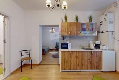 Apartament cu 1 camere nedecomandat, mobilat în Centrul Istoric - 10