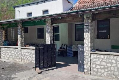 Casă cu 3 camere cu Teren 1500 Mp în Gurasada - 2