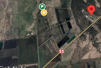 Teren agricol extravilan de 43500 mp, în Hărman