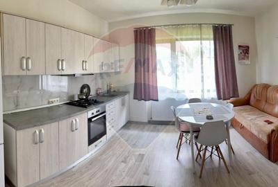 Casă individuală cu 2 camere cu Canalizare în Ocna Șugatag - 2