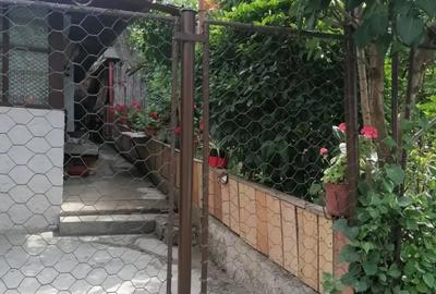 Casă individuală cu 3 camere în Andrei Mureșanu
