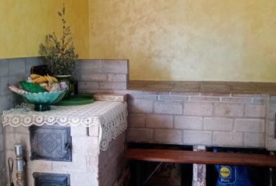 Vila in Rusii Manastioara - 13