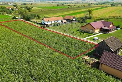 2.000mp intravilan, Bacel, zona linistita, intre Brasov si Sfantu Gheorghe,acces - 3