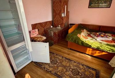 Casă cu 3 camere cu Teren 1000 Mp în Vădăstrița - 2