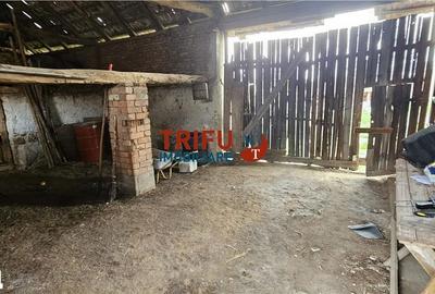 Casă cu 4 camere cu Teren 1284 Mp în Ighiu - 8