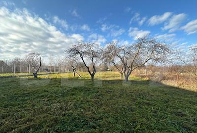 Teren de vanzare, 2366 mp - zona Bercu Rosu - 6