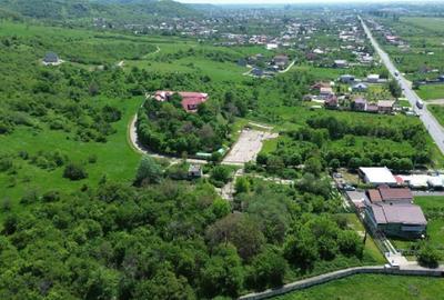 Teren intravilan 4.300 mp - Aninoasa, Dâmbovița | COMISION 0% - 6