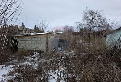 De vanzare casa taranesca Balusesti jud. Neamt - 26