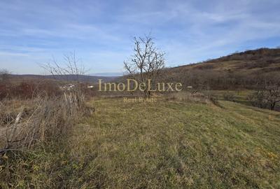 Teren extravilan langa lac, 8500mp, priveliste, acces, utilitati, zona Baciu - 7