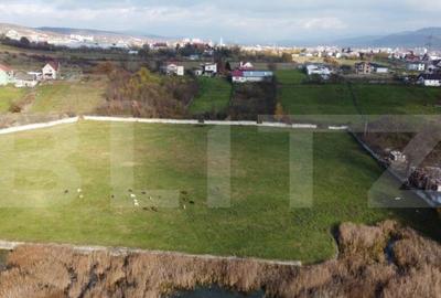 Teren in zona de Rombat, 20.000mp - 3