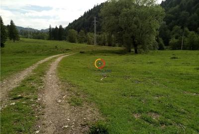 Teren de 1500 mp, în Central - 9