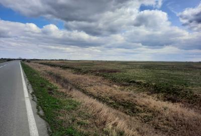 Spațiu comercial, în Sânmihaiu Român - 1