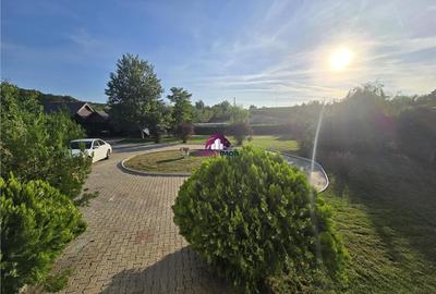 Casă cu 6 camere cu Teren 2500 Mp în Vlădiceasca - 4