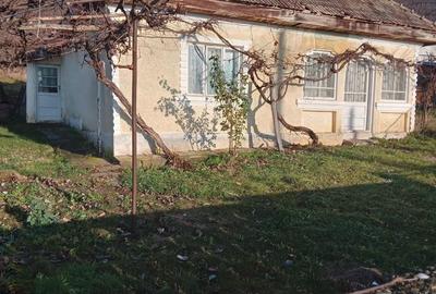 Casă cu 2 camere cu Teren 3754 Mp în Costișa - 1