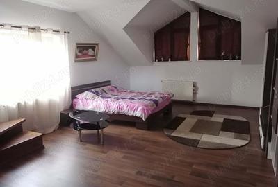 Casă cu Teren 1000 Mp în Bucium - 3