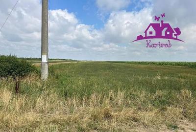 Teren de 28100 mp, în Gepiu - 5