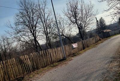 Teren Construcții intravilan de 4200 mp, în Romanii de Jos - 1