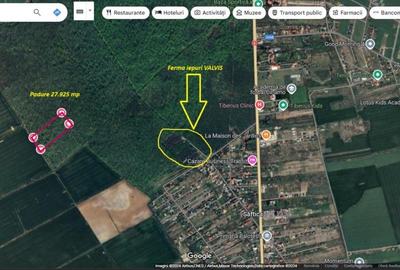 Padure 28.000mp - Saftica - 2e/mp - INVESTITIE - cel mai MIC pret - 3