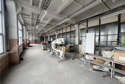 Hala industriala compartimentata in 5 spatii situat in zona Centrala - 6