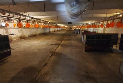 Spațiu comercial, de 2,716 mp, în Grădiște - 2