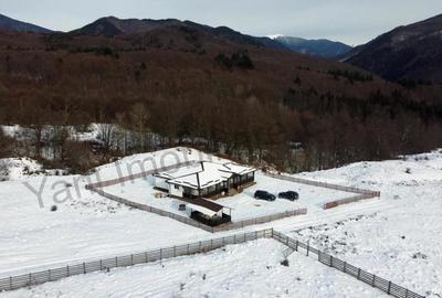 Casă în Nucșoara - 19