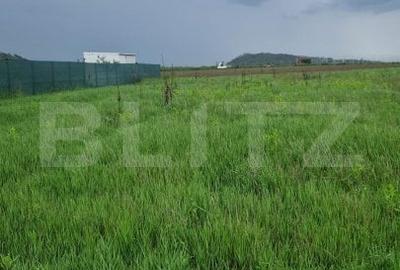 Teren pentru casa intravilan , 800 mp deschidere la drum Bod - 6