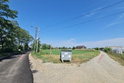 Teren de 2500 mp, în Timișești - 2