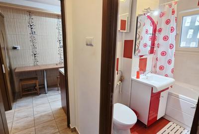 Apartament cu 2 camere circular, mobilat în Nord - 16