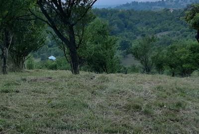 Casă cu 2 camere în Berislăvești - 9