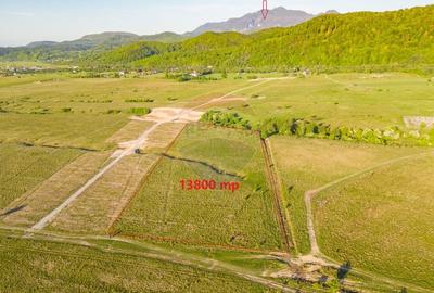 Teren deosebit/ Rasnov/13800 mp/Glajarie-Mestecanis-Poligon - 3