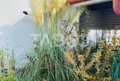 Casă individuală cu 4 camere cu Canalizare în Șelimbăr - 26