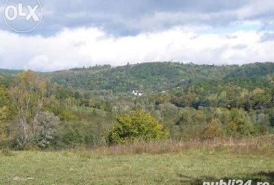 Teren de 3142 mp, în Vulcana-Băi - 5