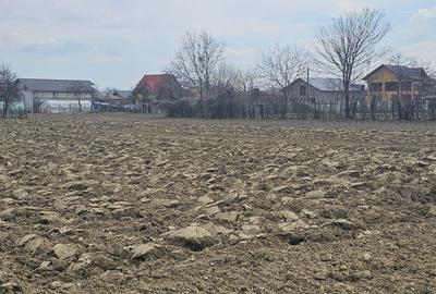 Teren de 1400 mp, în Roșu - 3