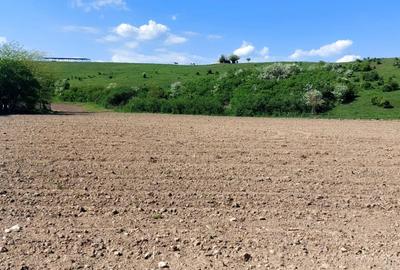 Teren  oportunitate investitie  19.000mp, zona Aeroport, - 3