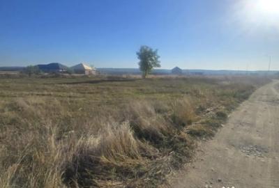 Teren de 1000 mp, în Central - 5