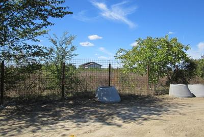 Domnesti Teghes-Padurarului - 12