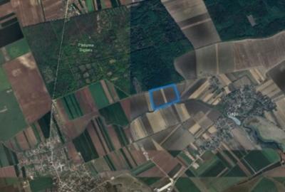 Teren de vanzare in Ilfov, Gagu, deschidere 74ml, 20762mp, 155.715euro