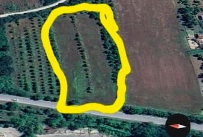 Teren Construcții intravilan de 8600 mp, în Central - 1