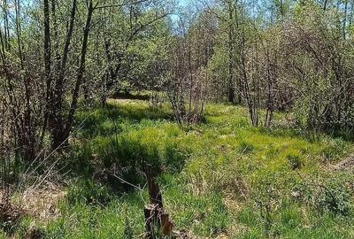 Teren de 8864 mp, în Voislova - 5
