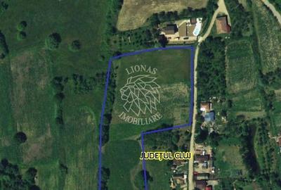 Teren de 10000 mp, în Aluniș - 1